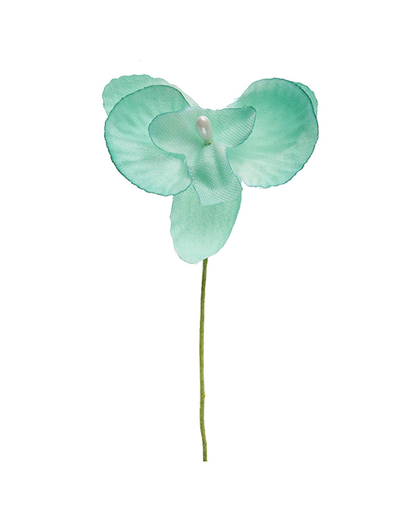 Mint Grønn