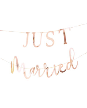 Banner / Girlander: "Just Married" - Rosegull - 2 x 1,5m