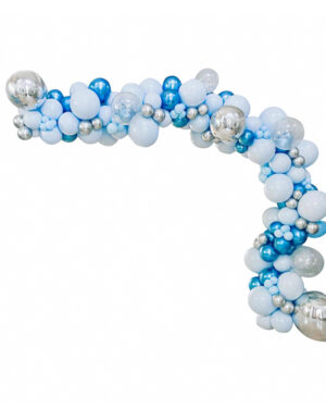 Organisk klase / Bue: Newborn baby boy